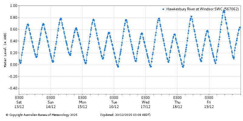 Plot of River Height Observations