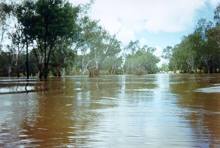 Waterhouse Creek Crossing