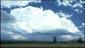 multicell storm