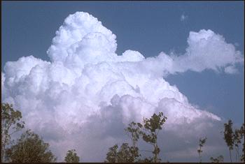 towering cumulus cloud