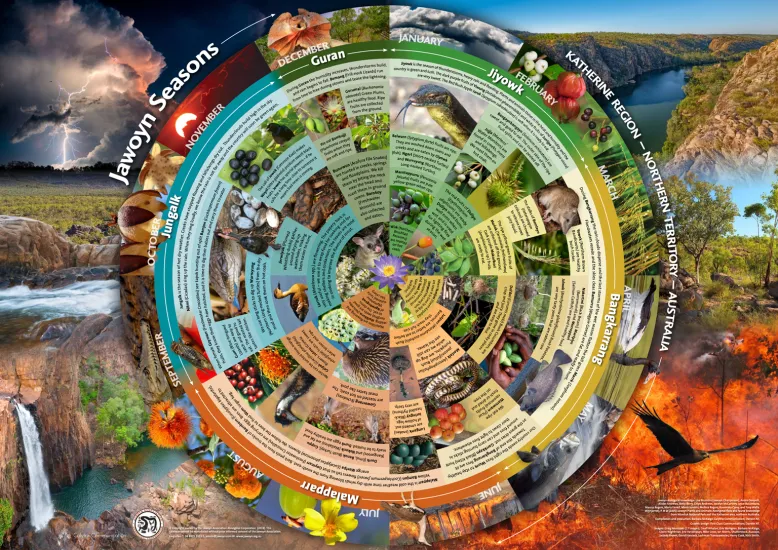 Colourful circle and seasonal photos representing the Jawoyn seasonal calendar.