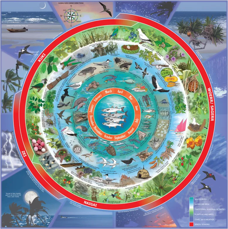 Masig seasonal calendar contains a red circle with blue photos and illustrations of various flora and fauna relating to four different seasons.