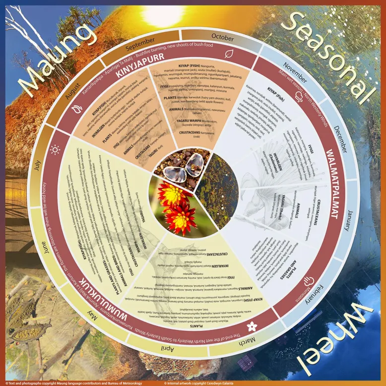 Detailed wheel with text and images explaining the animals, plants and weather associated with Maung seasons.