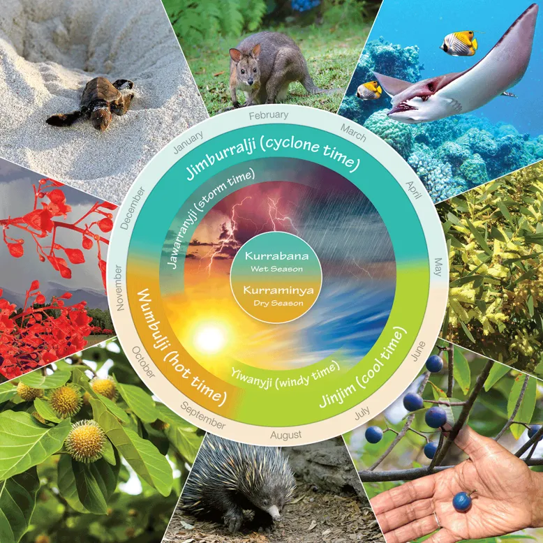 Blue, orange and green colour circle charting the three Yirrganydji seasons with calendar months and nature photos show the animals and plants related to each traditional season.