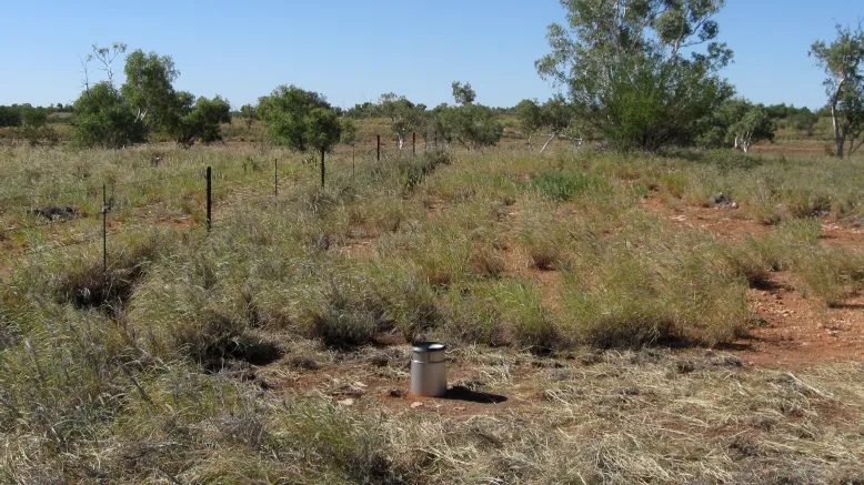 Standard manual rain gauge on the ground amid red dirt and grasses in a fenced paddock at Rabbit Flat Airport. The gauge is about 30 high, cylindrical and silver in colour with a 230 mm opening at the top.