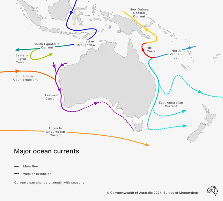 Map of Australia with arrows in the surrounding oceans, showing the direction of major currents. From the top, the Indonesian Throughflow travels along Australia's north-west coast to join the Leeuwin Current, which flows around into Bass Strait, tailing off near Tasmania. At the bottom, the Antarctic Circumpolar Current flows west to east. The East Australian Current flows from the Pacific. It divides into the north-flowing South Equatorial Current and the southerly East Australian Current.