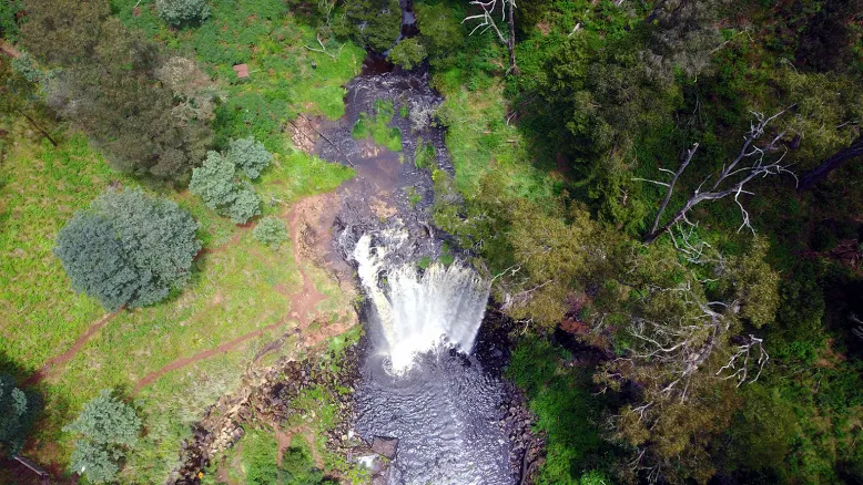 Aerial photo of a waterfall surrounded by green bushland.