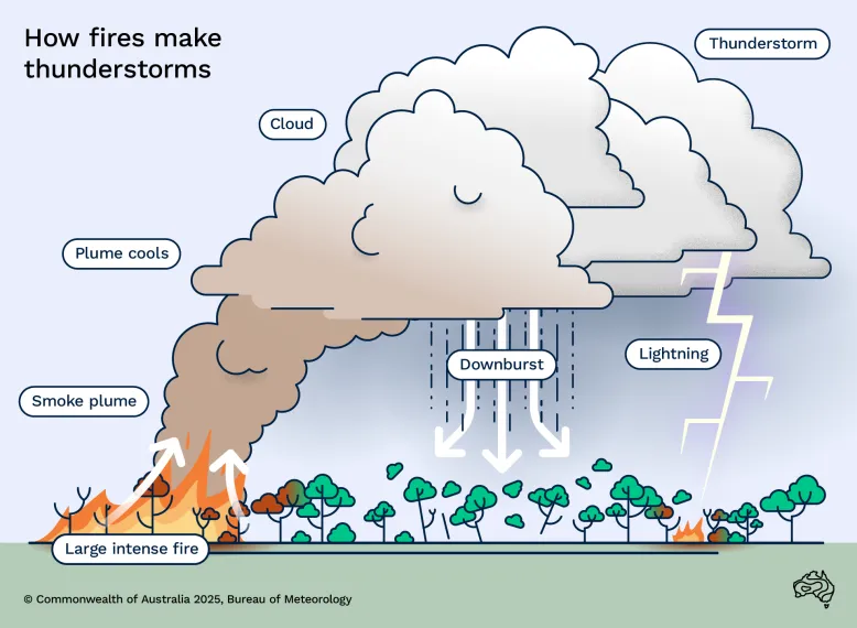 Graphic showing pyrocumulonimbus cloud development. A plume of hot, turbulent air and smoke rises from a fire. The plume rises and cools to become cloud and turns into a thunderstorm with a downburst of rain and lightning that strikes the ground to spark another fire.