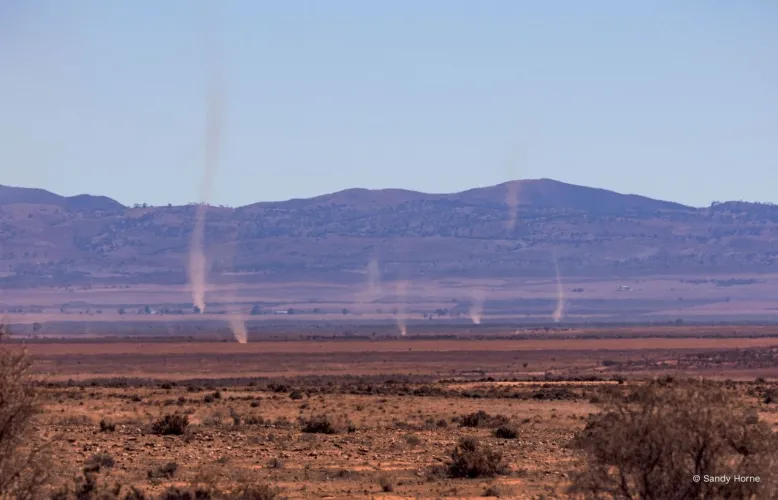 Seven dust devils spin amongst each other in a sparse outback landscape.