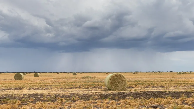 Storm clouds over hay bales in a paddock.