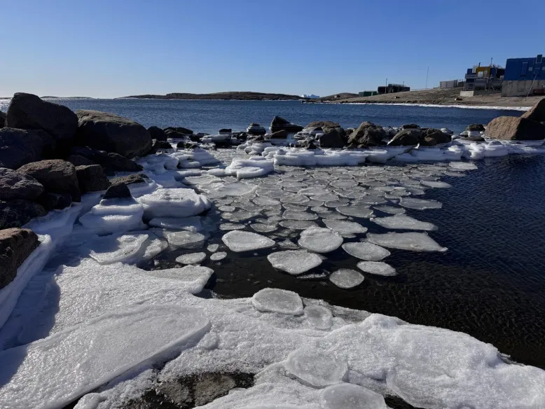 Sea ice forming along a rocky coastline in Antarctica with buildings in the distance.
