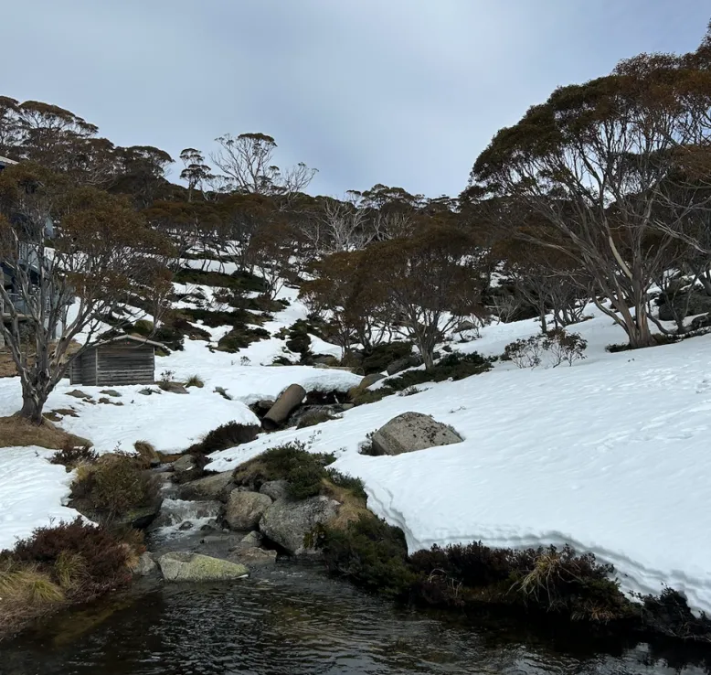 A river surrounded by snow