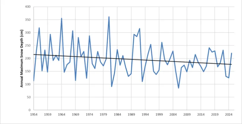 Graph identifying annual maximum snow depths 