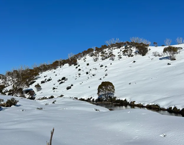 Snow on a mountain