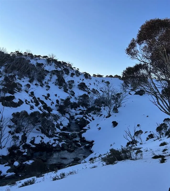 Snow-covered hillside with scattered shrubs and a narrow creek flowing through a small valley under a clear blue sky at Kosciuszko National Park.