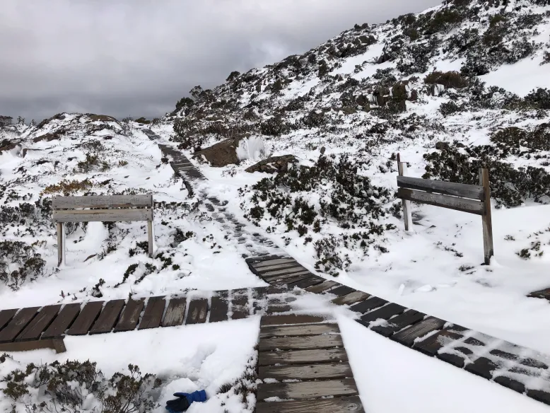 Image of a wooden path through the snow on a cloudy day.