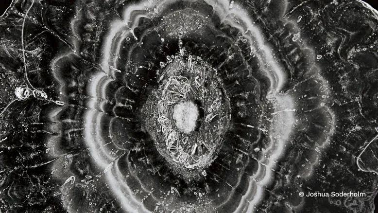 Cross-section of hailstone revealing intricate rings of clear and cloudy ice radiating from a dense central core.