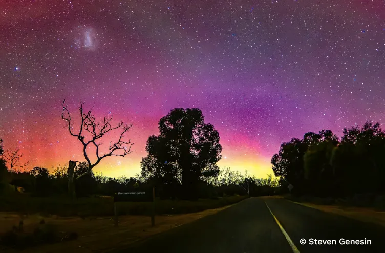 Vibrant aurora glows in purples, yellows and pinks above a winding outback road, silhouetting trees against a star-filled night sky.