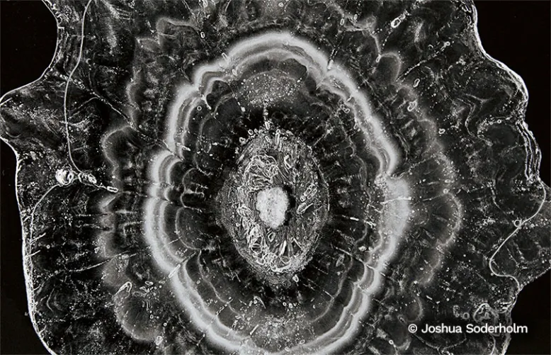 Cross-section of hailstone revealing intricate rings of clear and cloudy ice radiating from a dense central core.
