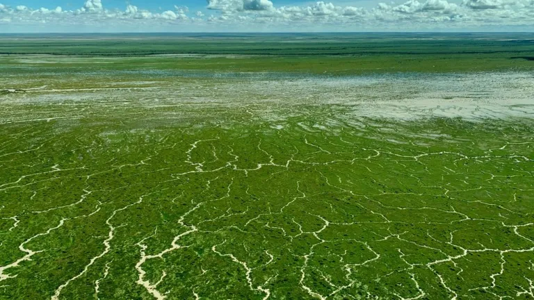 Aerial photo looking across the green Goyder Lagoon toward the horizon.
