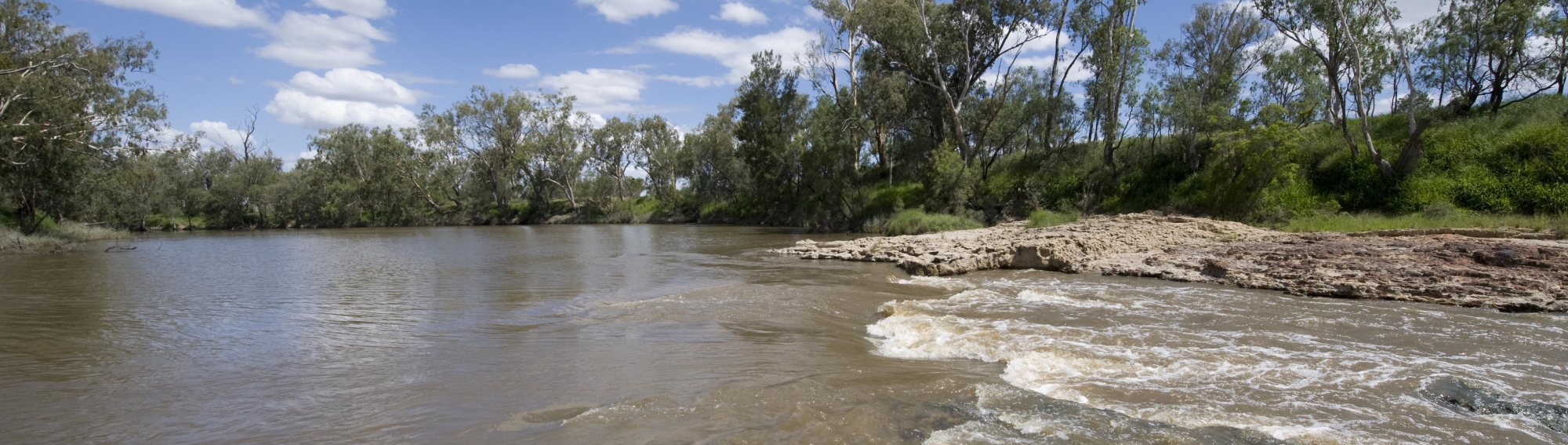 McIntyre River near Goondiwindi, Murray–Darling Basin region (MDBA © Arthur Mostead) McIntyre River near Goondiwindi, Murray–Darling Basin region (MDBA © Arthur Mostead)