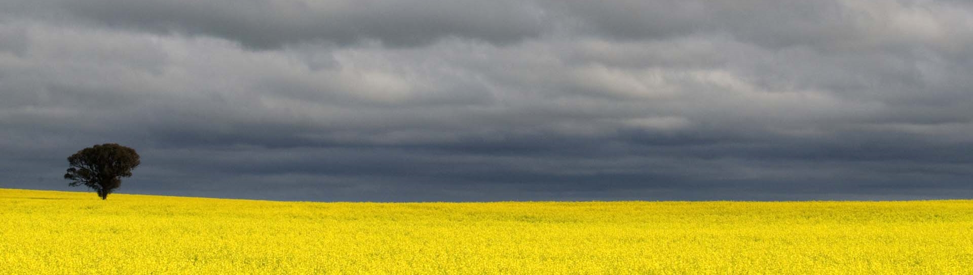 Agricultural land use, Murray–Darling Basin region (Alison Pouliot © 2010)